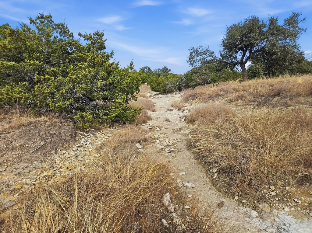 Picture 14