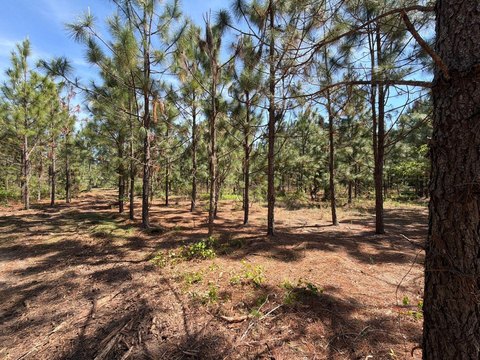Land, Wagener, SC