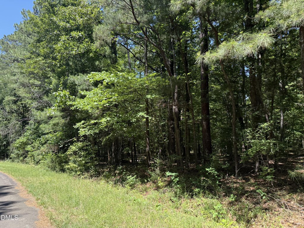 Picture 23