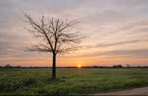 Residential Land in Prairiland ISD