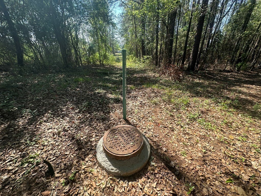 Picture 15