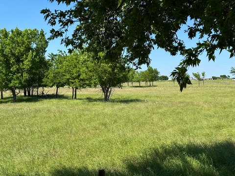Sanger, TX Acreage for Sale