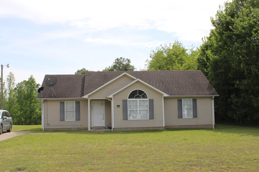 Picture 21