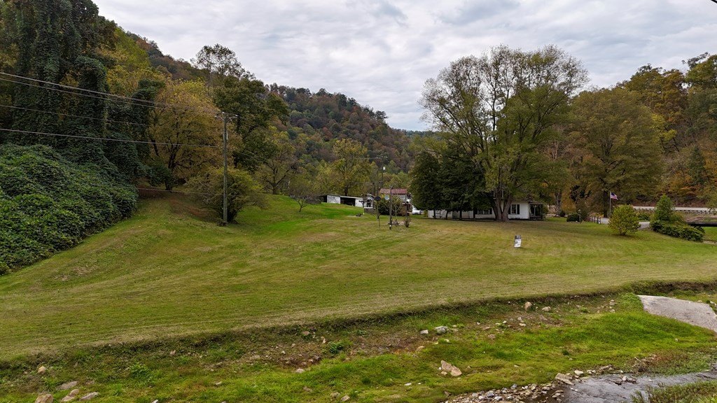 Picture 5