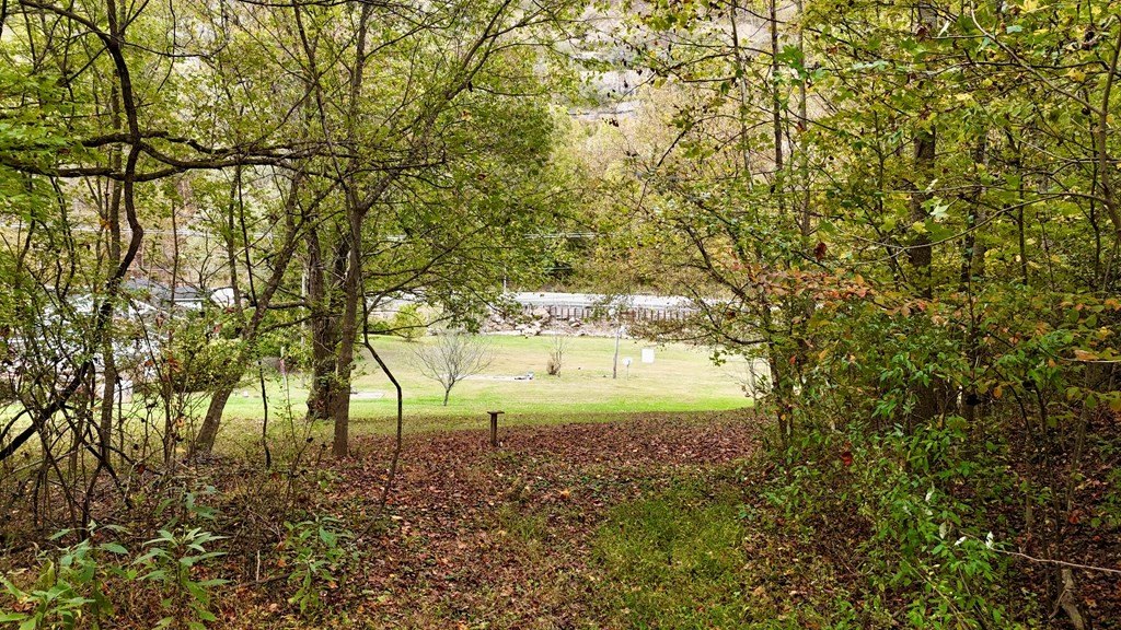 Picture 8