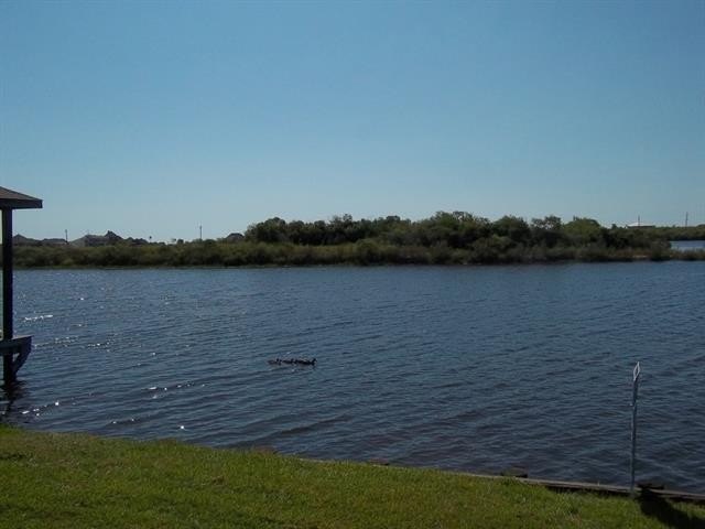Picture 7