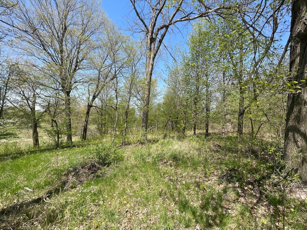 Picture 17