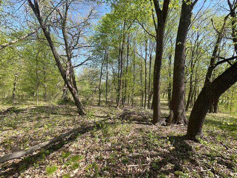 Recreational Waterfront Land Parcel