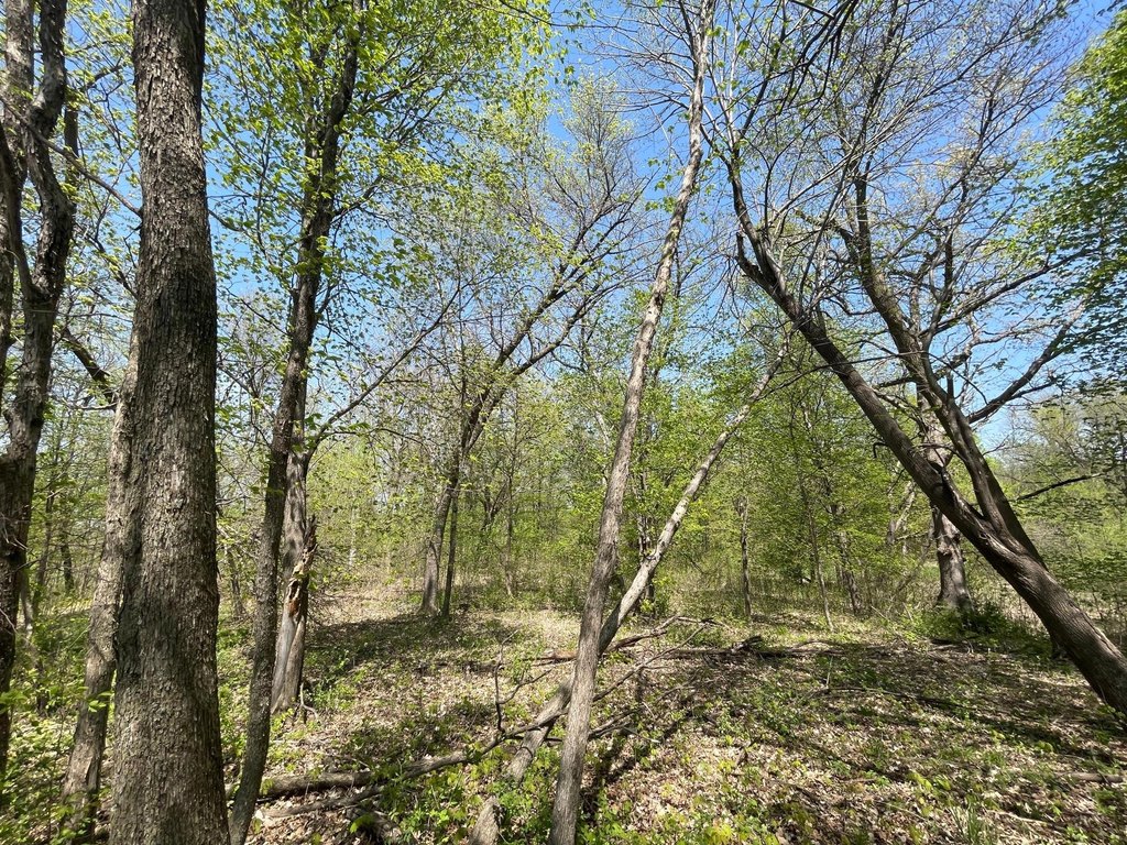 Picture 19