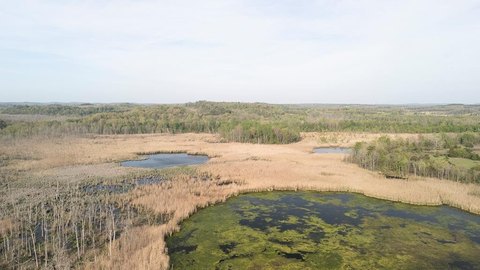 Waterfowl and Deer Hunting Land