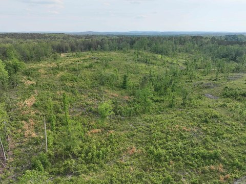40 Acres Near Glenwood