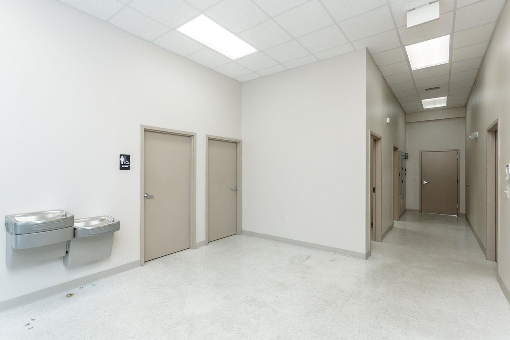 Picture 19