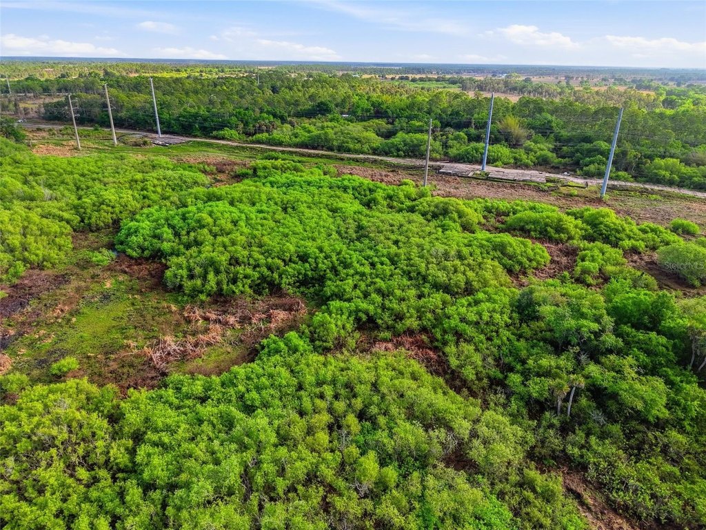 Picture 22