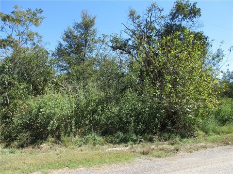 Residential Land in Marlin, TX