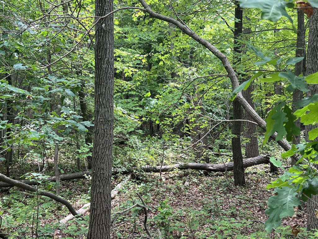 Picture 11