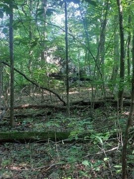 Wooded Acreage in Sequatchie Valley
