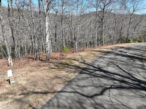 Vacant Lot - Ellijay, GA