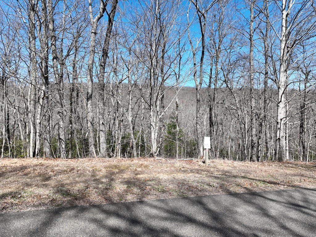 Picture 21