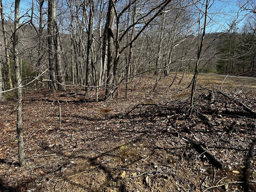 Picture 22