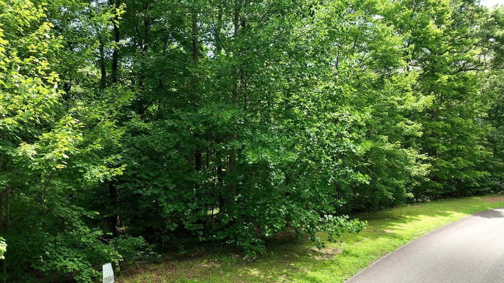 Picture 46
