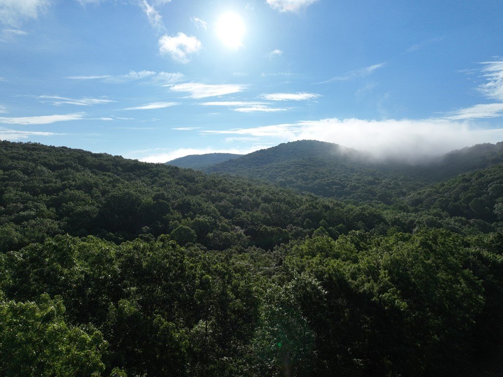 Picture 36