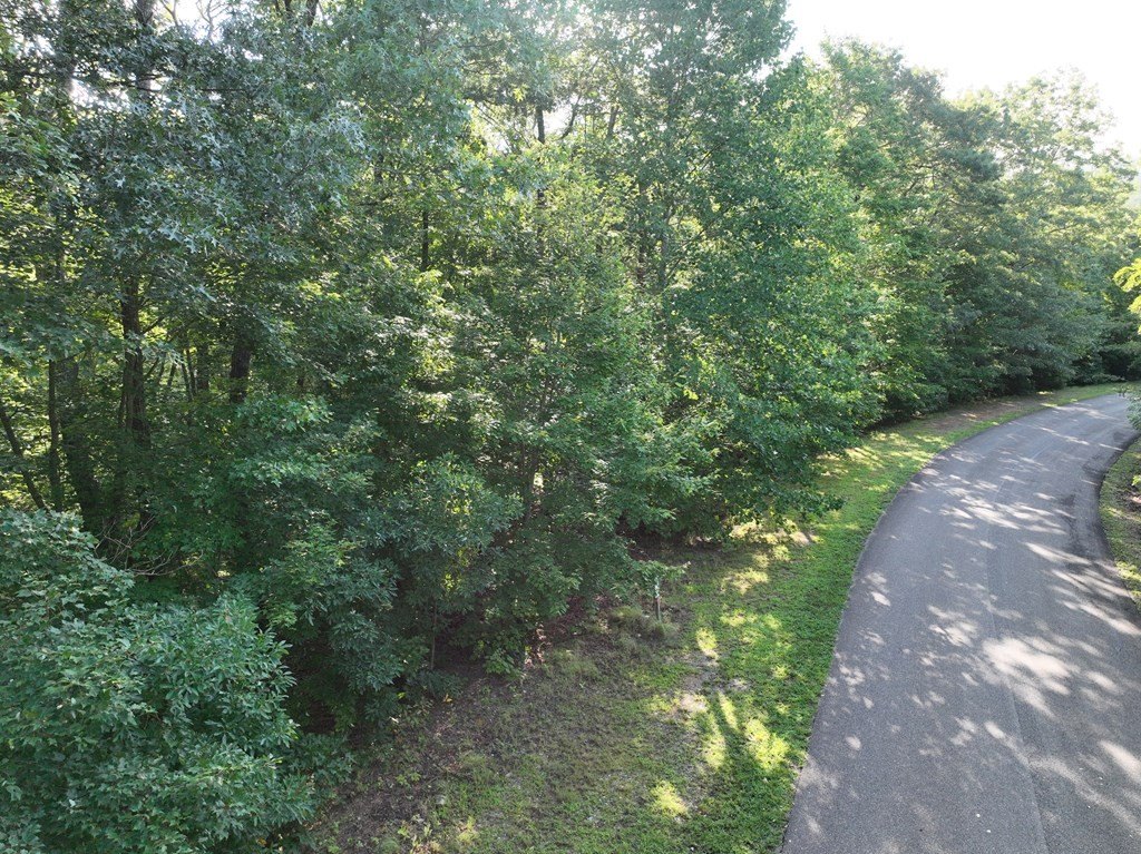 Picture 33