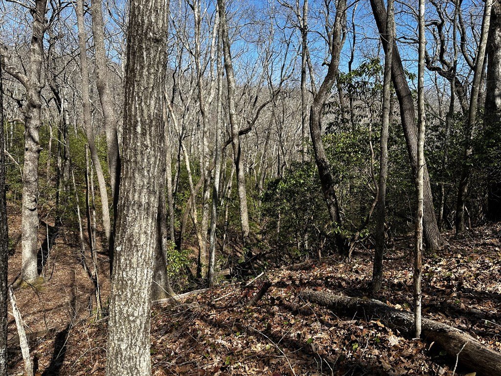 Picture 27