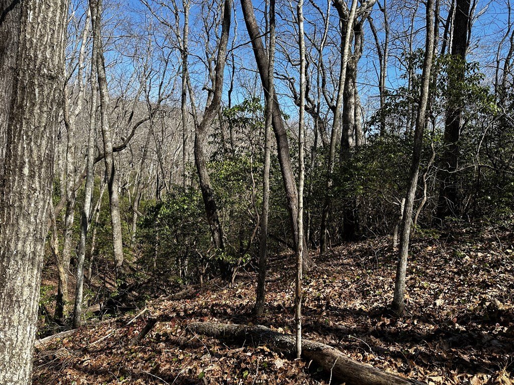 Picture 26