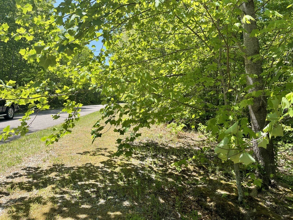 Picture 40
