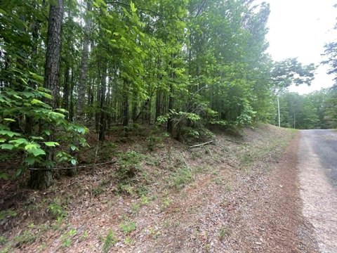 LAND - Jasper, AL