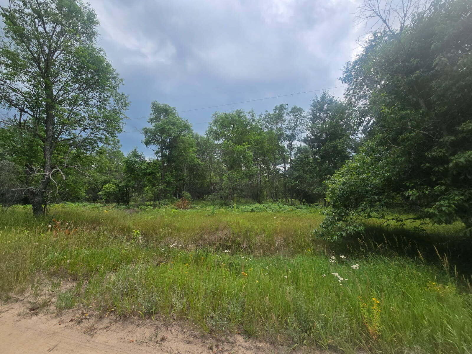 Secluded 10-Acre Hunting Land