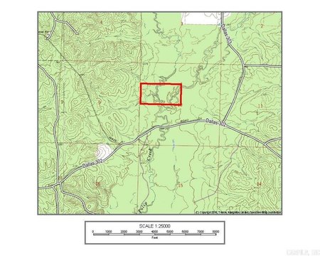 80 Acres Hunting and Timber
