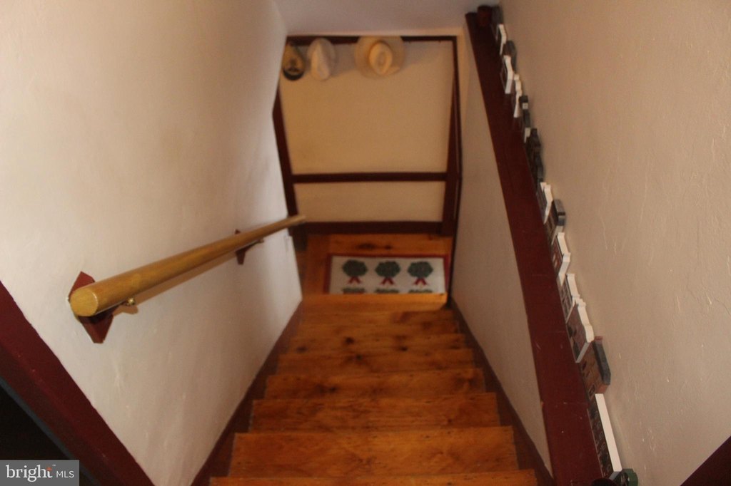 Picture 41