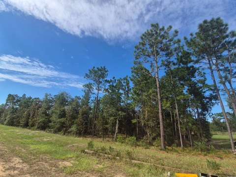 Land, Hawthorne, FL