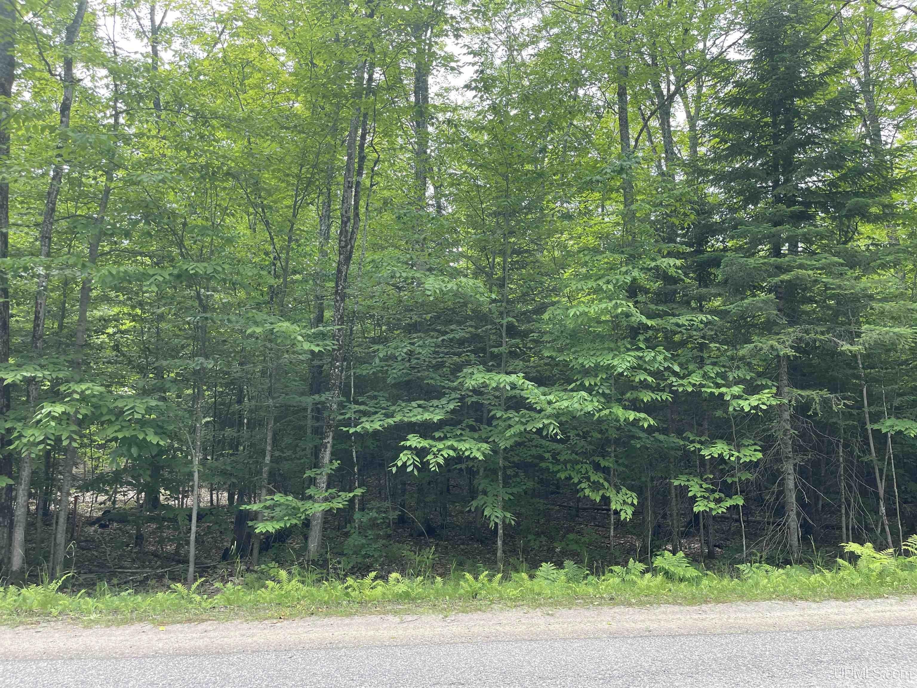 Wooded 5-Acre Building Site