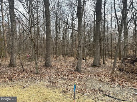 Private 3.81 Acre Lot