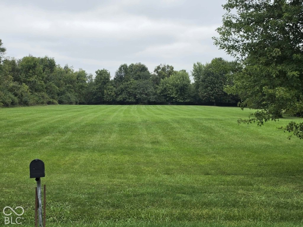 Picture 10