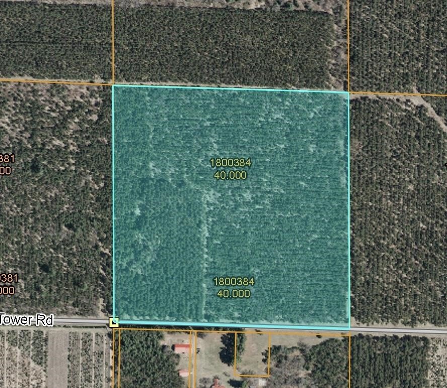 Wooded Acreage Near Wisconsin Rapids