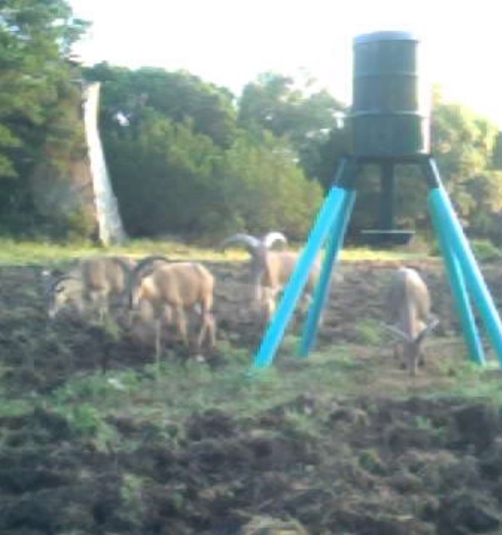 Picture 3