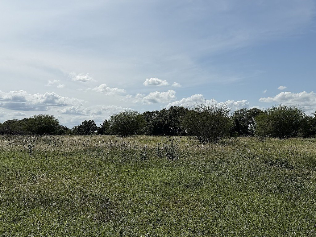 Picture 9