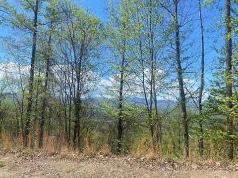 Franklin, NC Land Parcel