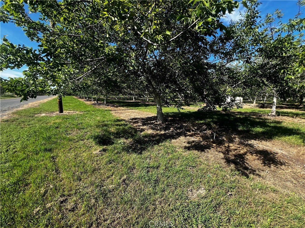 Picture 3