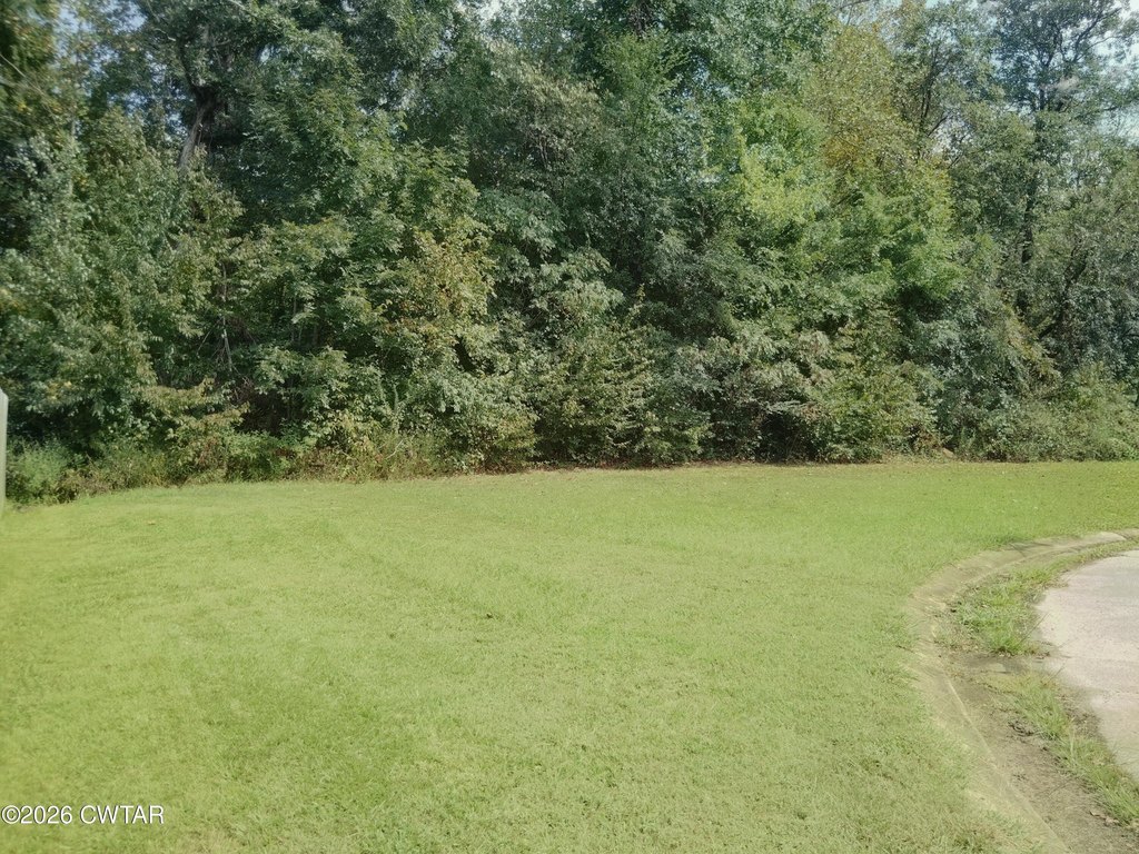 Picture 3