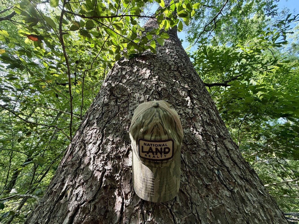 Picture 41