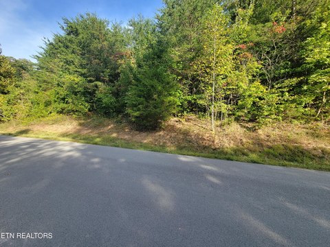 Lots & Acreage, Maynardville, TN