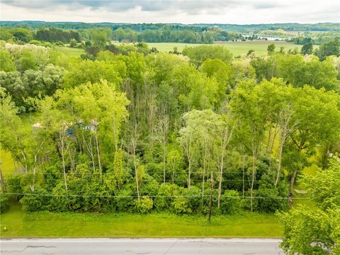 Serene Wooded Parcel in Newark