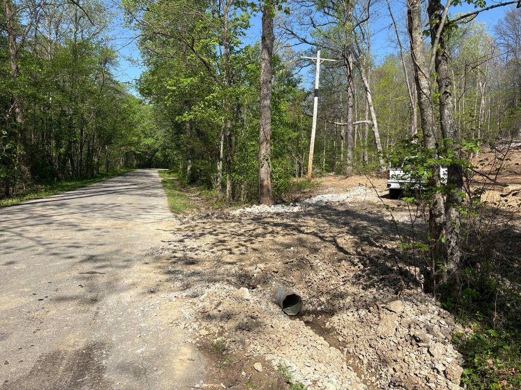 Picture 11