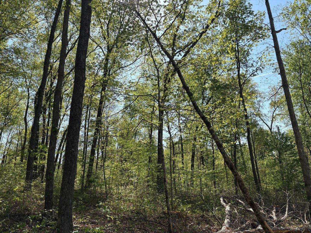 Picture 19