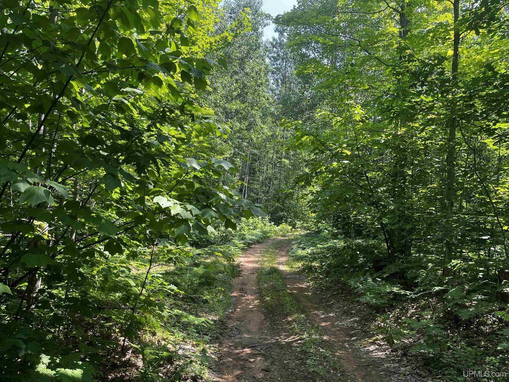 Picture 19