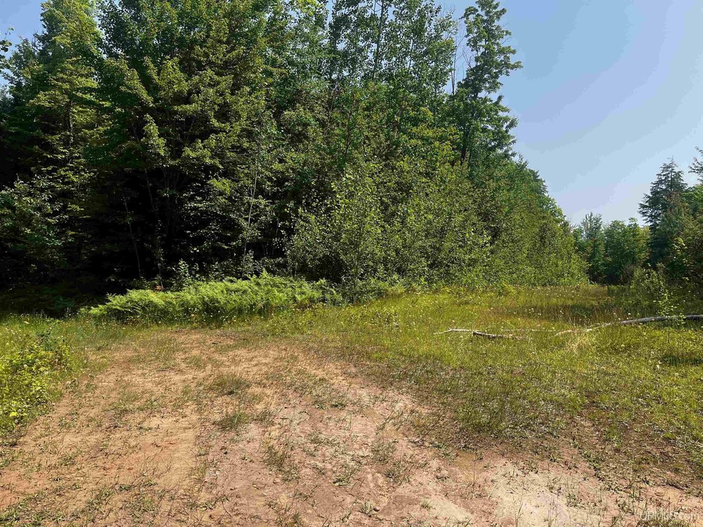 Picture 30